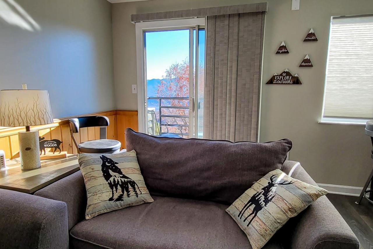 Summit View Condos 개틀린버그 외부 사진